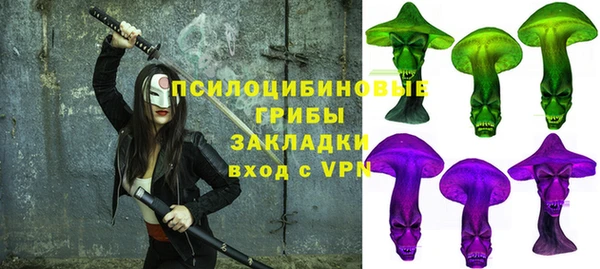 дмт Верея