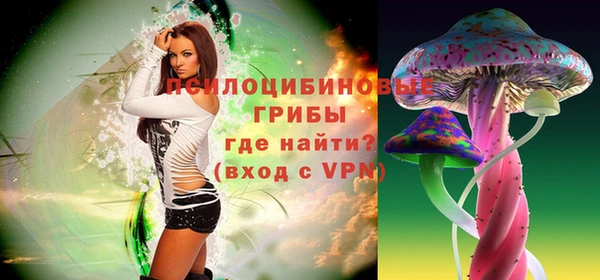 дмт Верея