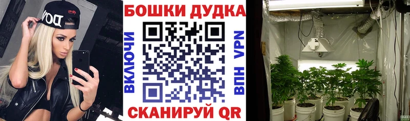 Бошки марихуана SATIVA & INDICA  Тамбов 
